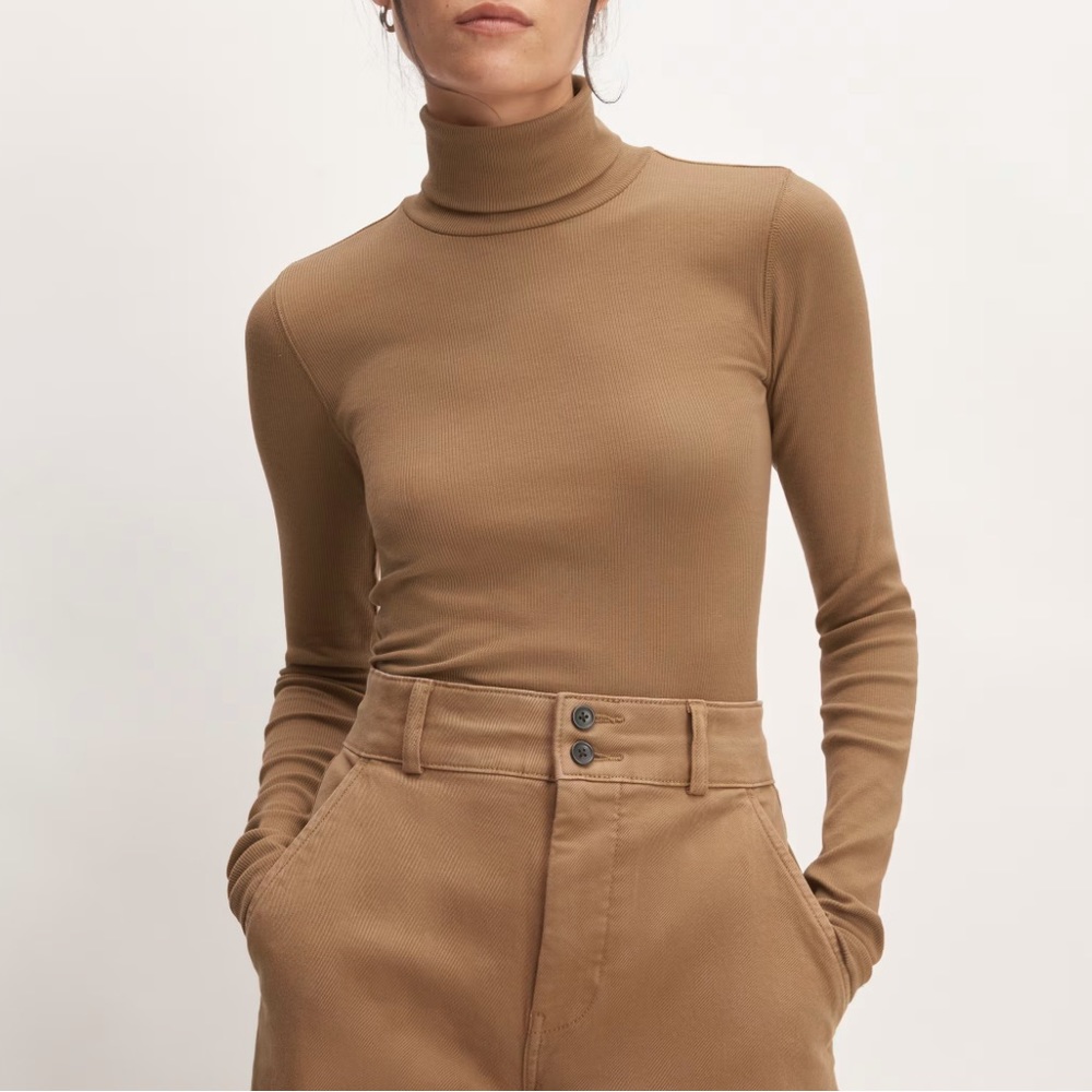 Everlane The Supima® Micro-Rib Turtleneck